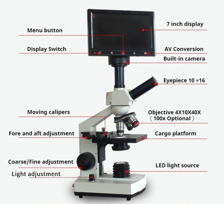Professional Digital Compound Microscope 7 inches Screen 40X-400X Microscopios School Laboratory Use Microscopes Camera Screen Biological Analysis HD Binocular Student TV AV USB Electronic Eyepiece