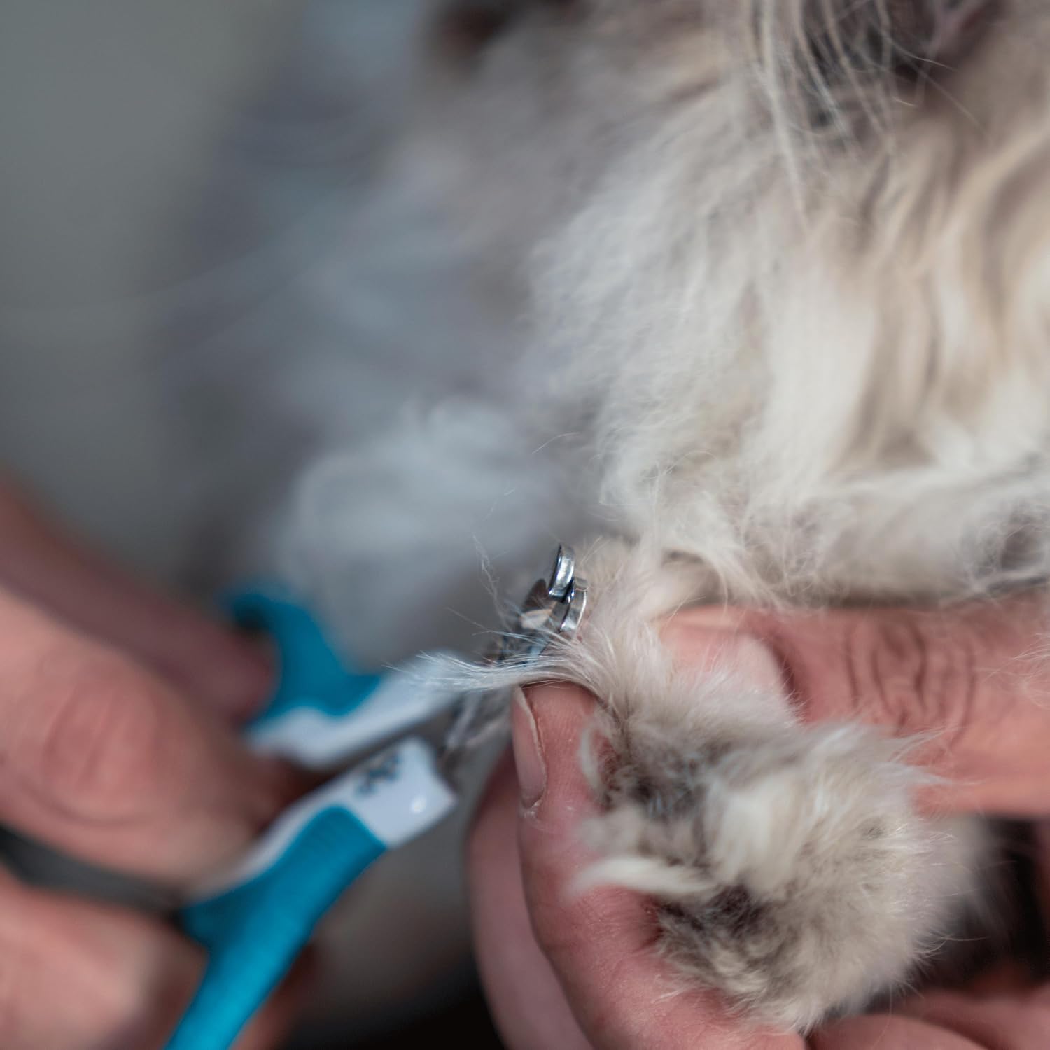 Nail Clipper, Stainless Steel, Sharp Cat Claw Trimmer