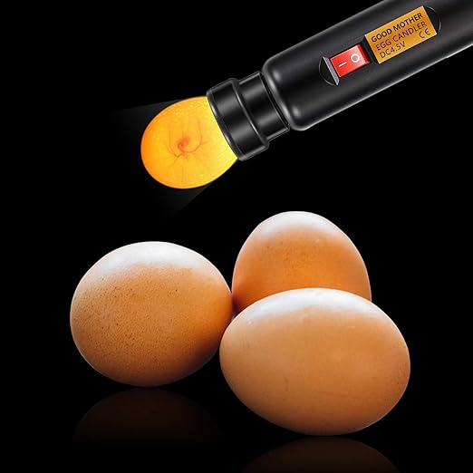 LED Egg Candler Egg Tester for Incubator Hatching - Cold Light Handheld Egg Candling Light for Chicken Duck Goose Quail Eggs, 2 Headgear Sizes, Check Fertile Eggs