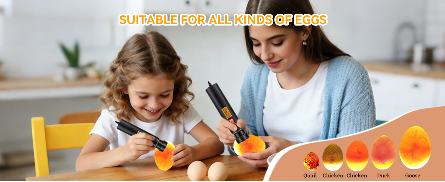 LED Egg Candler Egg Tester for Incubator Hatching - Cold Light Handheld Egg Candling Light for Chicken Duck Goose Quail Eggs, 2 Headgear Sizes, Check Fertile Eggs