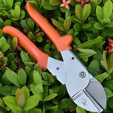 Professional Anvil Pruner Secateurs Garden shear Tools Robust and Sharp Hedge Trimmer Durable Portable Pruning Shears for Gardening