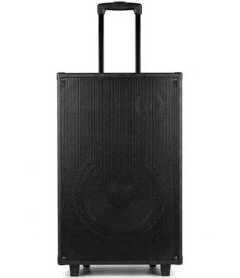 Euroken 12" Portable Trolley Multimedia Speaker System Woofer Multimedia Speaker System Outdoor Subwoofer Speaker with FM Radio and Free Wireless Microphone