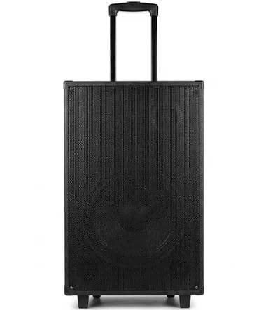 Euroken 12" Portable Trolley Multimedia Speaker System Woofer Multimedia Speaker System Outdoor Subwoofer Speaker with FM Radio and Free Wireless Microphone