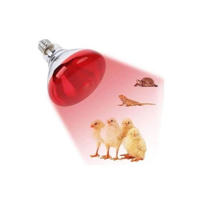 Red Infrared chicken bulb, Heat Lamp for chicken coop brooder and Reptile Heat Bulb, 220 volts, infrared red light