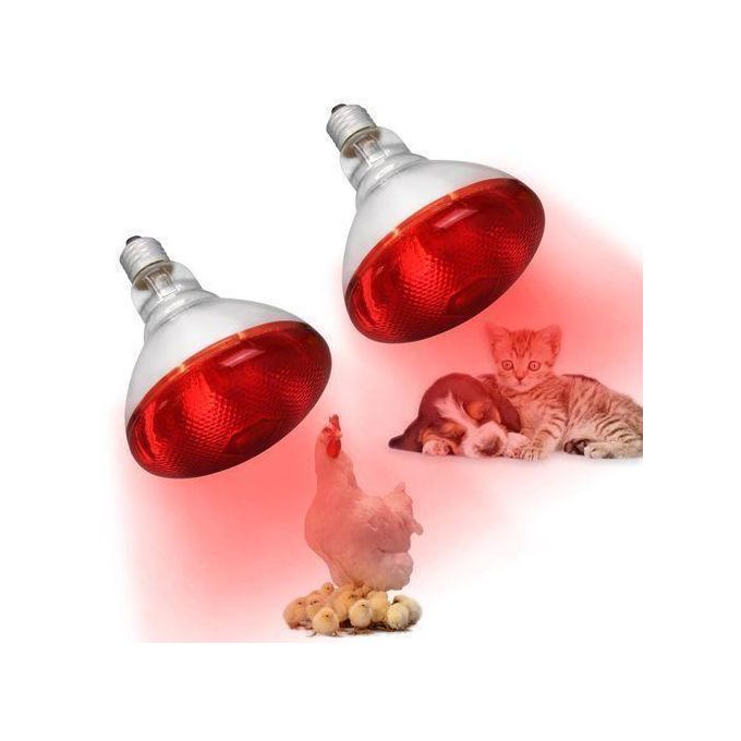 Red Infrared chicken bulb, Heat Lamp for chicken coop brooder and Reptile Heat Bulb, 220 volts, infrared red light
