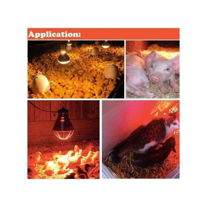 Red Infrared chicken bulb, Heat Lamp for chicken coop brooder and Reptile Heat Bulb, 220 volts, infrared red light