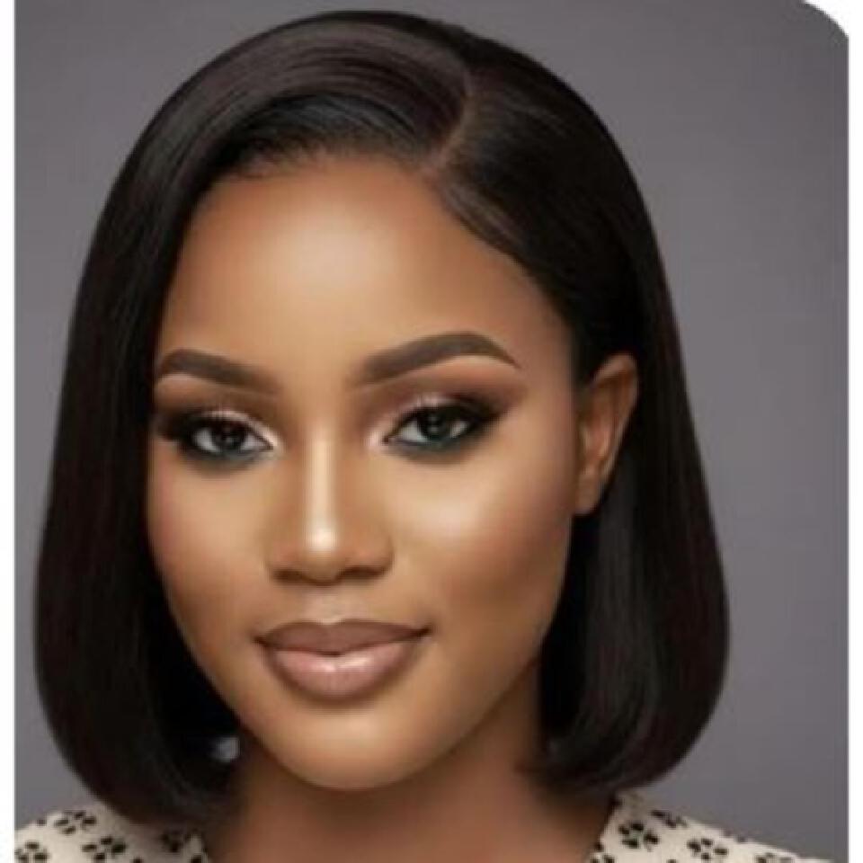 deep full frontal human blend bob wig