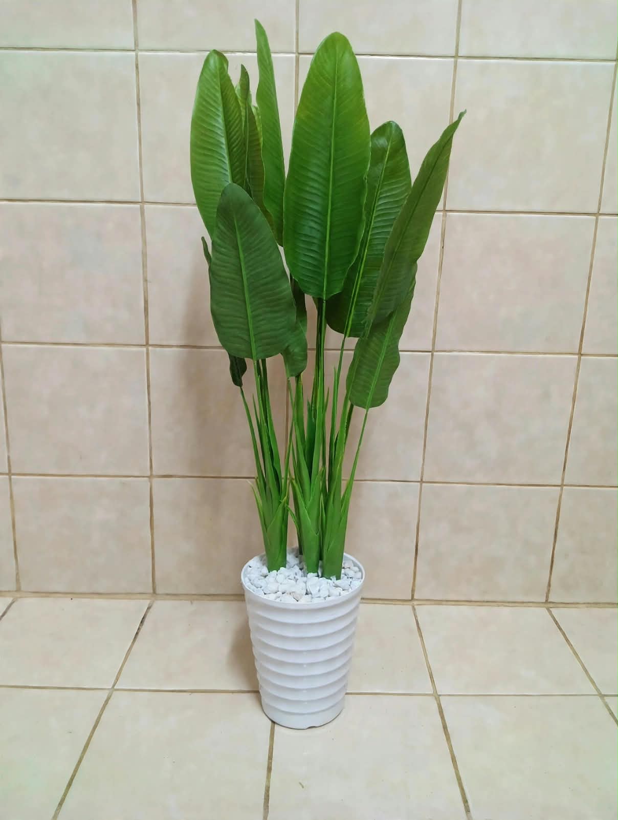 1.8M Artificial Banana Palm Tree with Pot & White Pebbles – Large Realistic Indoor Decorative Plant