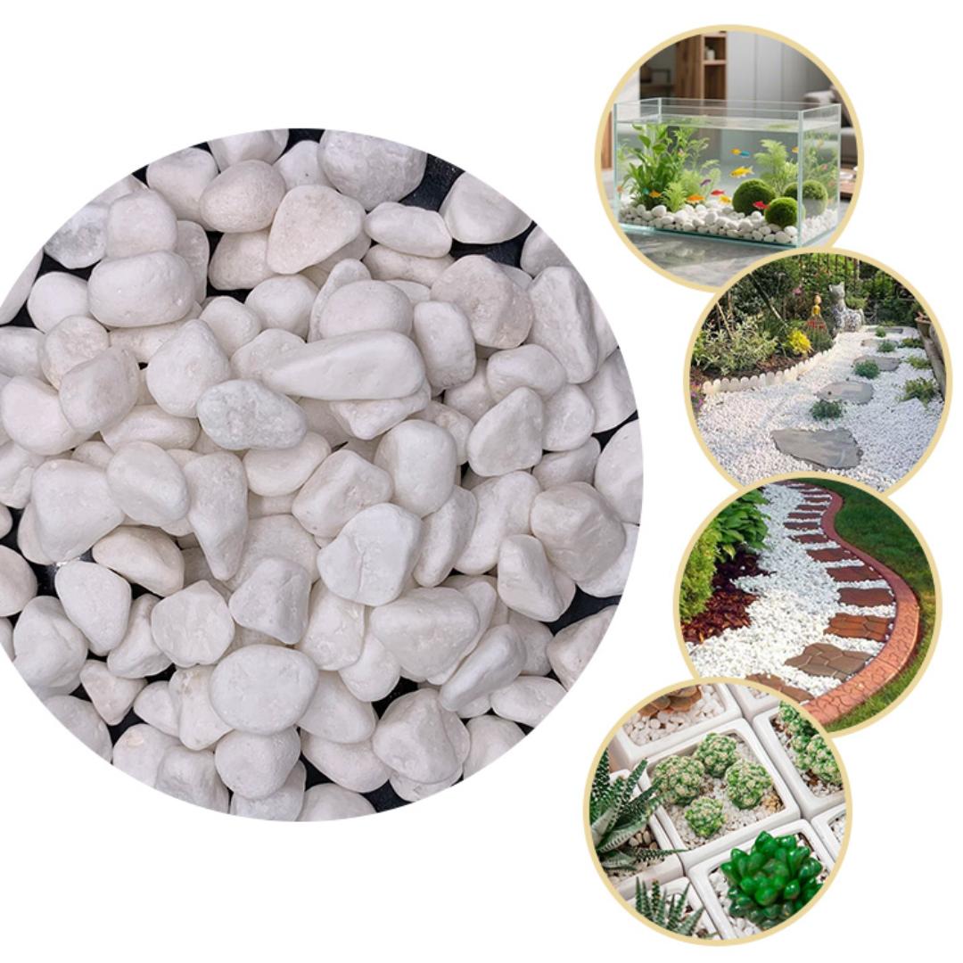 Natural Decorative Pebbles Stones for Flower Pots, Vases, Aquariums, Garden Landscaping & Home Decor