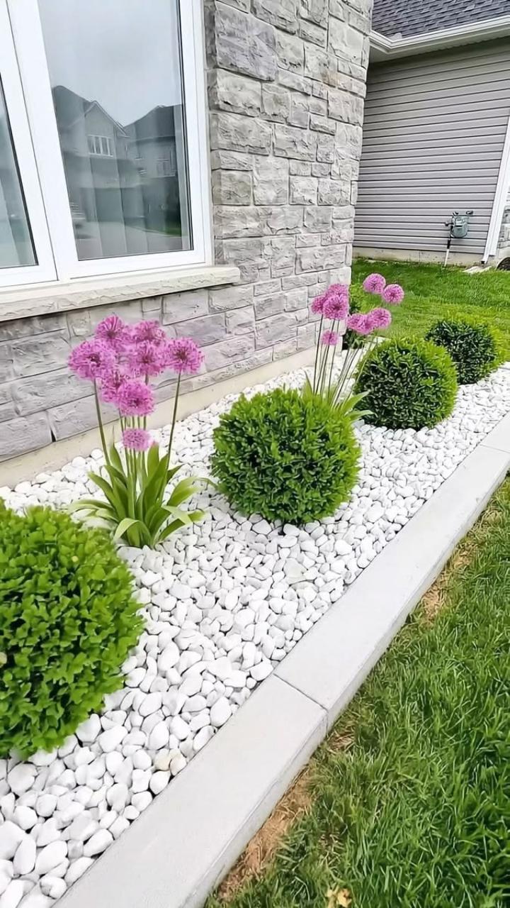 Natural Decorative Pebbles Stones for Flower Pots, Vases, Aquariums, Garden Landscaping & Home Decor