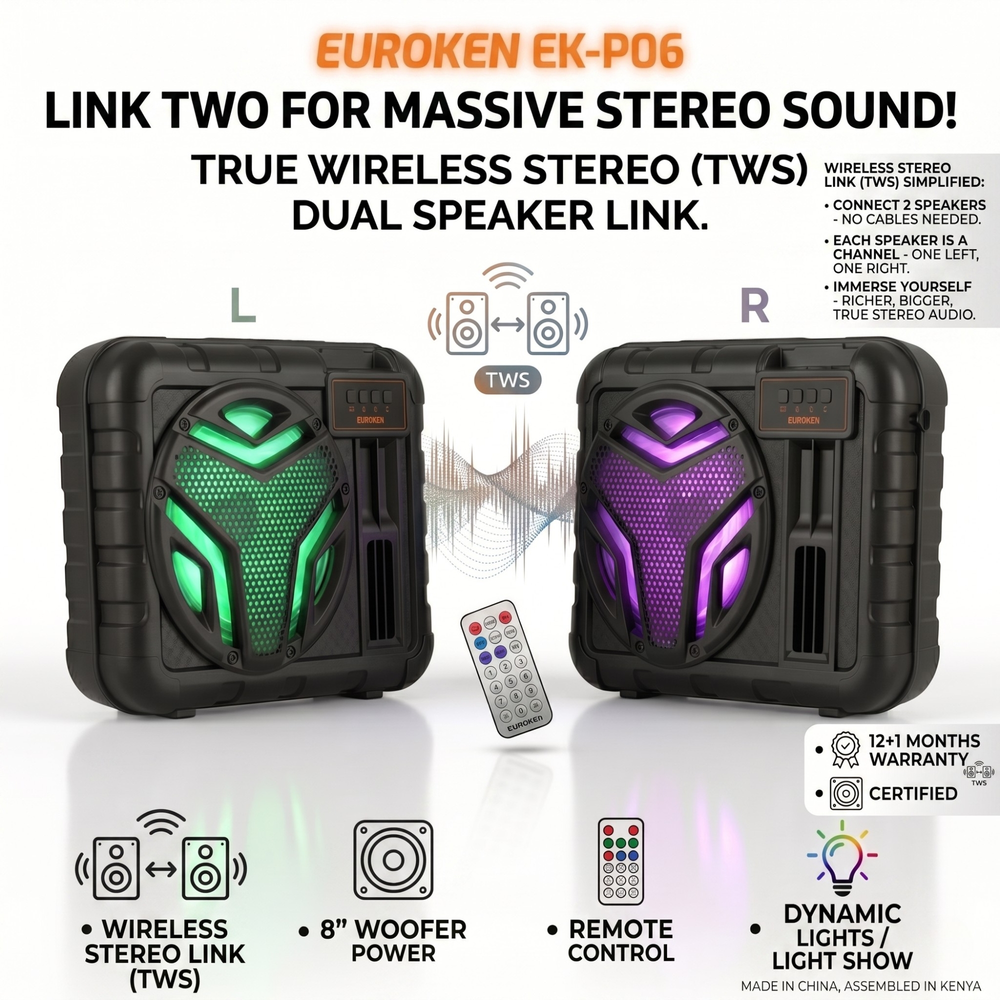 New EK-P06 8.0  inch active rechargeable portable Bluetooth speaker
