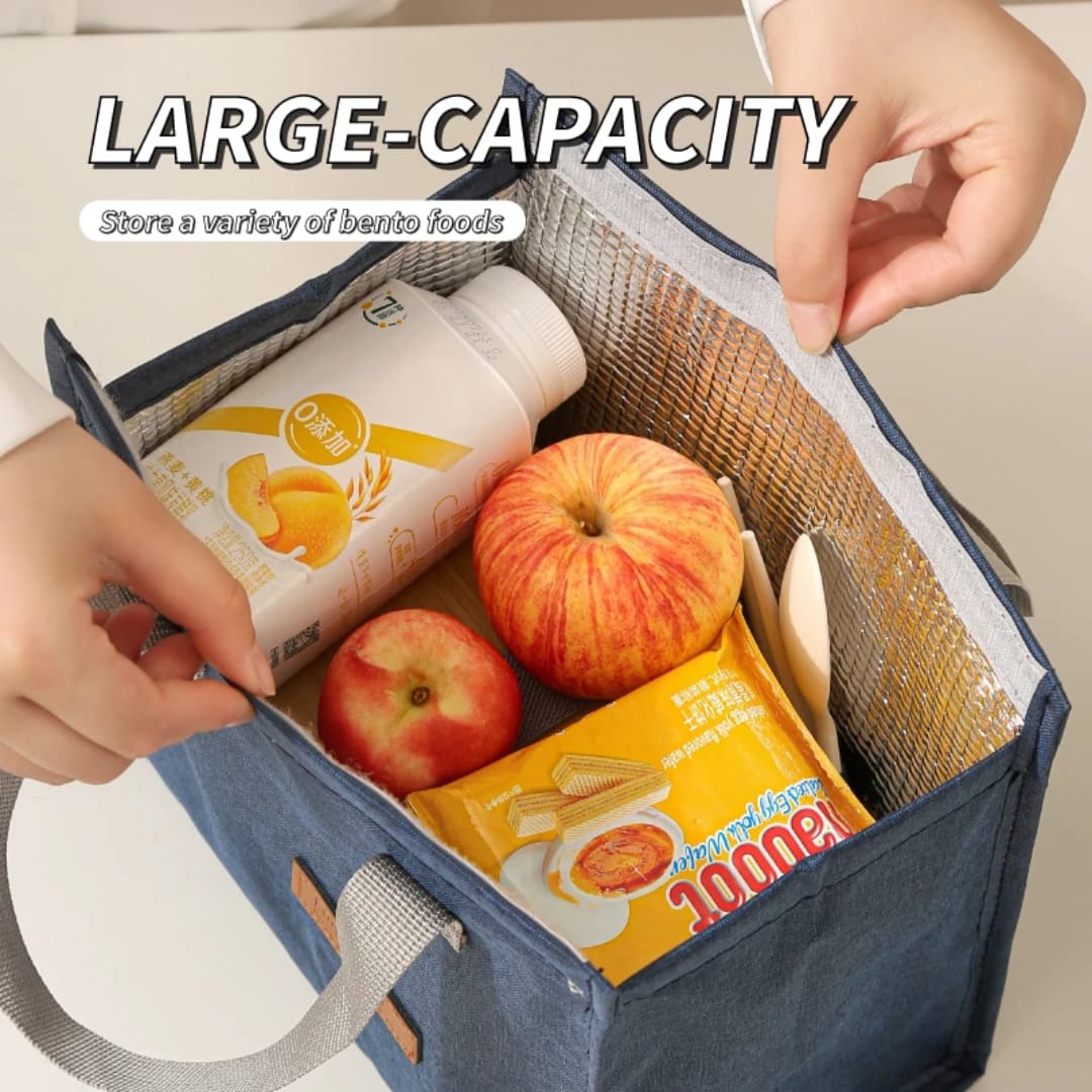 Reusable Insulated Leakproof Lunch Box Tote Bag, Cool Bags for Kids Girls Adults, Thermal Cooler Bag for Work School Picnic Travel