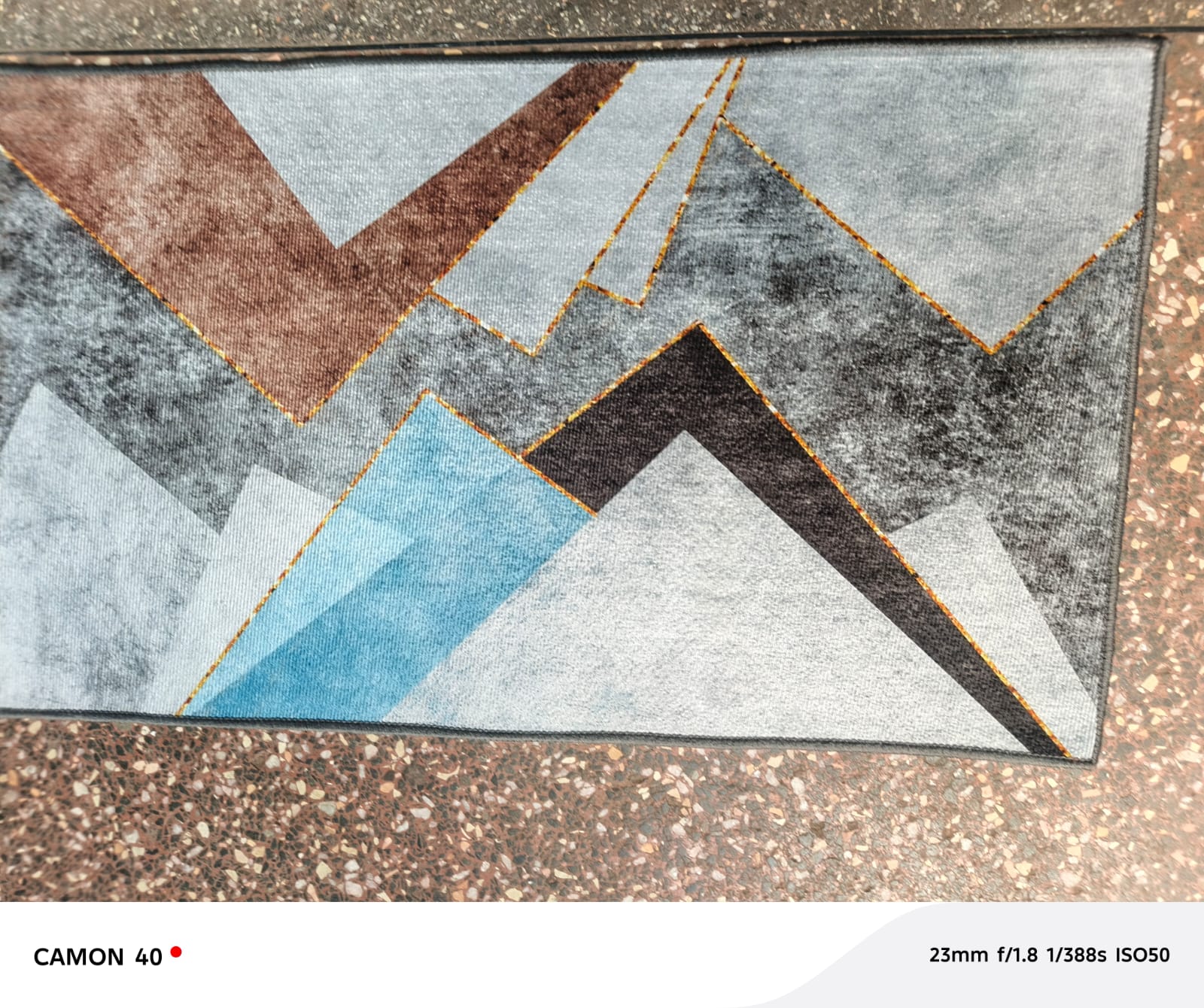 Soft, Non-Slip & Elegant 3D Doormat - 50×80 cm