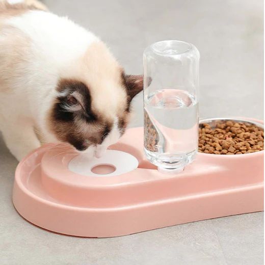Automatic Single Pet Bowl with Water Dispenser 500ml – Feeding Bowl & Gravity Water Feeder for Cats and Small Dogs, Moisture-Proof Design