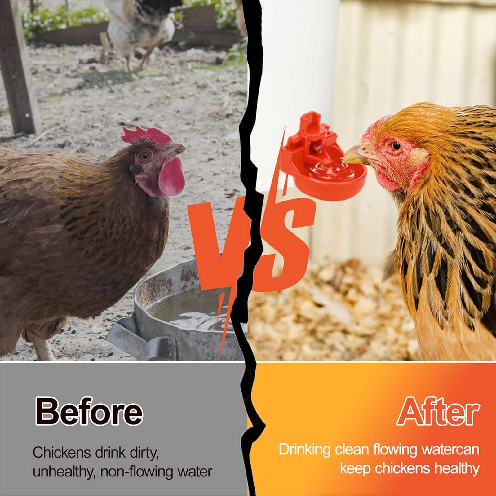 Chicken Waterer Cups, 12pcs Automatic Tee Fittings Poultry Feeder Cups Suitable for Chicken, Duck, Goose