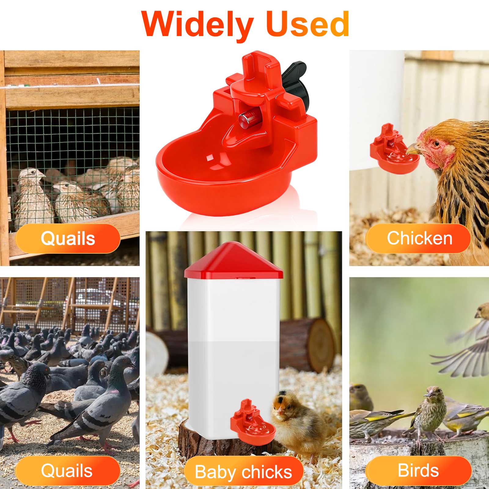 Chicken Waterer Cups, 12pcs Automatic Tee Fittings Poultry Feeder Cups Suitable for Chicken, Duck, Goose