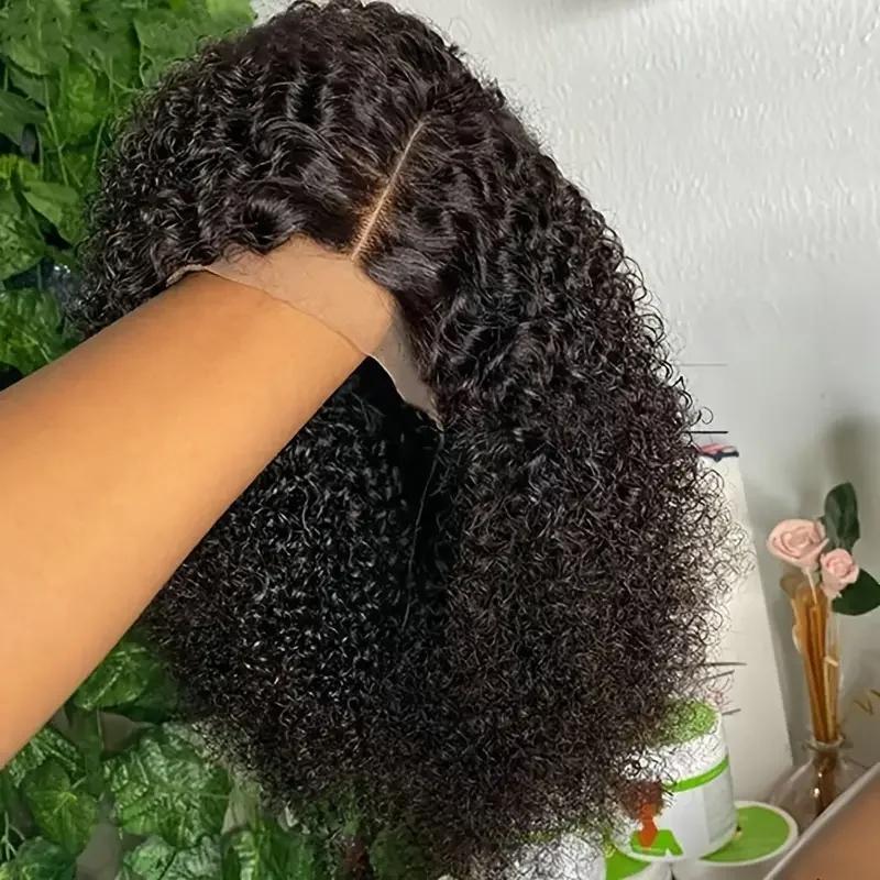 Fashion human hair blend waterwave wig It has a 2*4 closure that can be put as a middle or side part PLUS a curl keeper