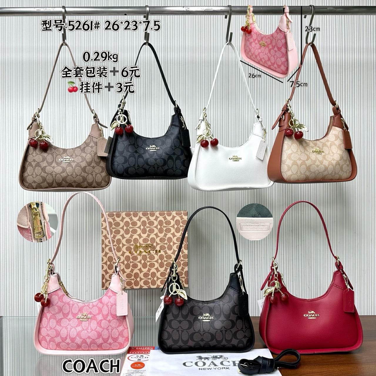 Women’s Trendy Casual Shoulder Bag Fashion Ladies Coach Handbag Stylish Everyday Purse Versatile Shoulder Crossbody Bag for Shopping Travel Office and Daily Wear