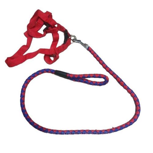 Dog Harness and Leash Set for Large & Medium Dogs – Adjustable Comfortable Pet Walking & Training Harness