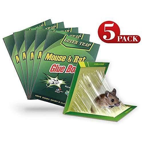 Pack of 5 Rat Trap Glue Book – Strong Adhesive Rodent & Insect Catcher Boards for Home & Kitchen Pest Control