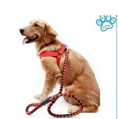 Dog Harness and Leash Set for Large & Medium Dogs – Adjustable Comfortable Pet Walking & Training Harness