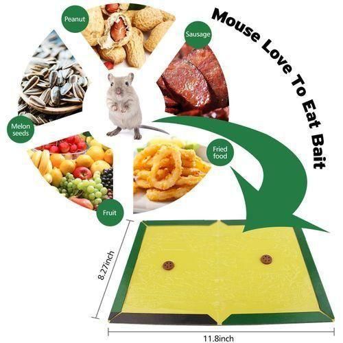 Pack of 5 Rat Trap Glue Book – Strong Adhesive Rodent & Insect Catcher Boards for Home & Kitchen Pest Control