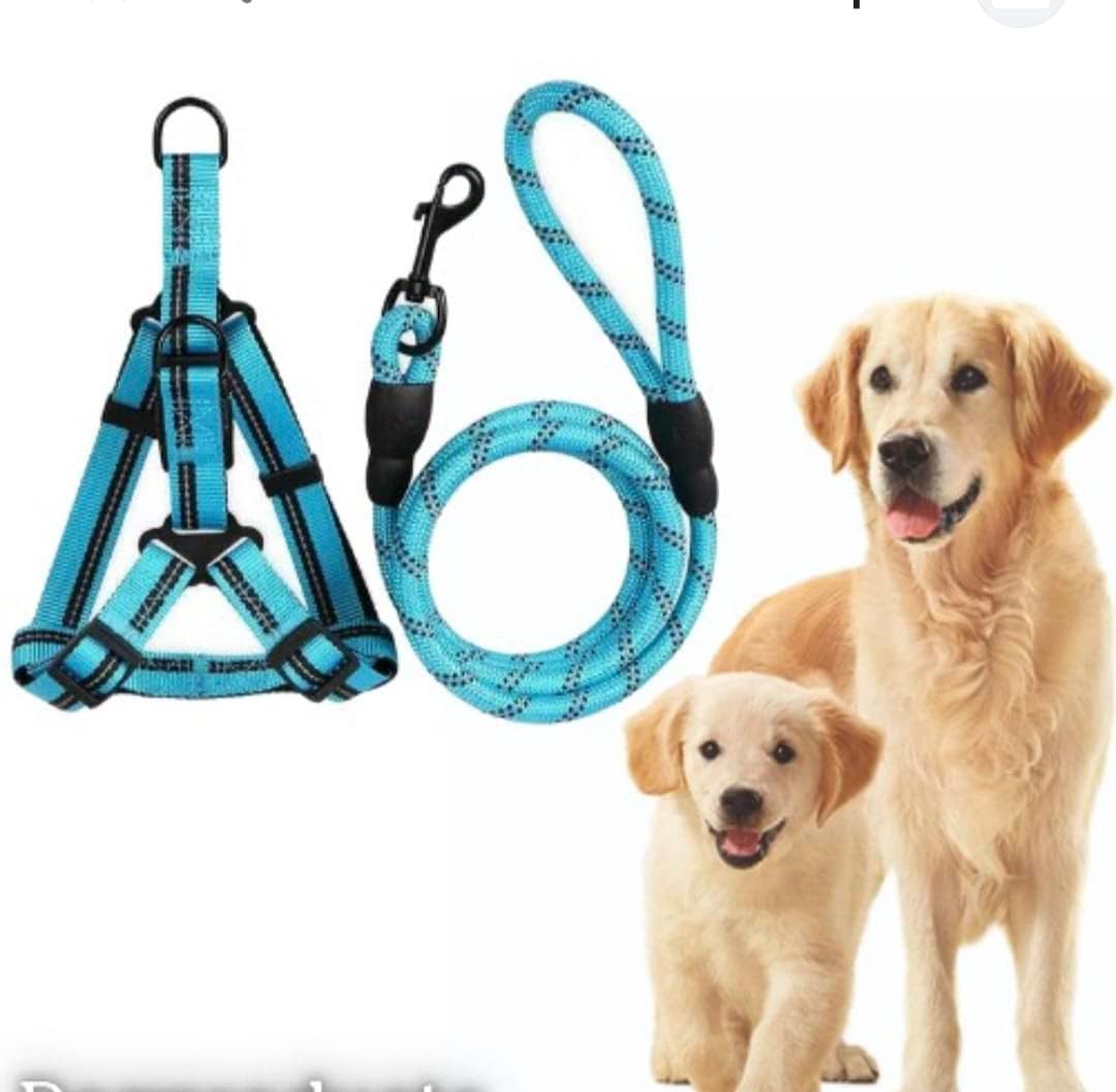 Dog Harness and Leash Set for Large & Medium Dogs – Adjustable Comfortable Pet Walking & Training Harness