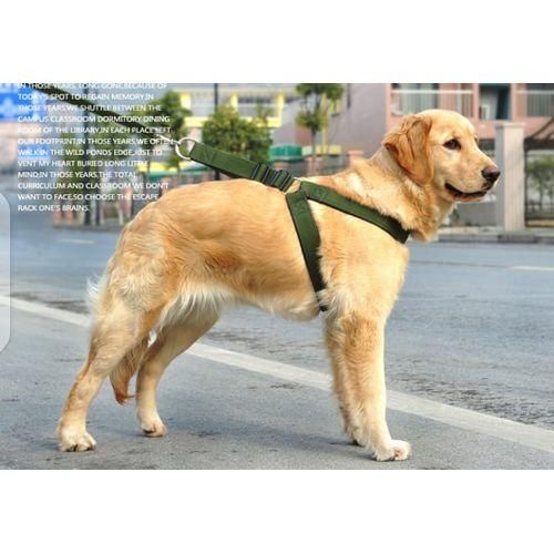 Dog Harness and Leash Set for Large & Medium Dogs – Adjustable Comfortable Pet Walking & Training Harness