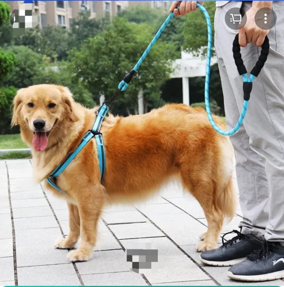 Dog Harness and Leash Set for Large & Medium Dogs – Adjustable Comfortable Pet Walking & Training Harness