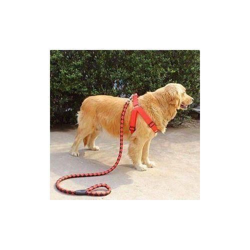 Dog Harness and Leash Set for Large & Medium Dogs – Adjustable Comfortable Pet Walking & Training Harness