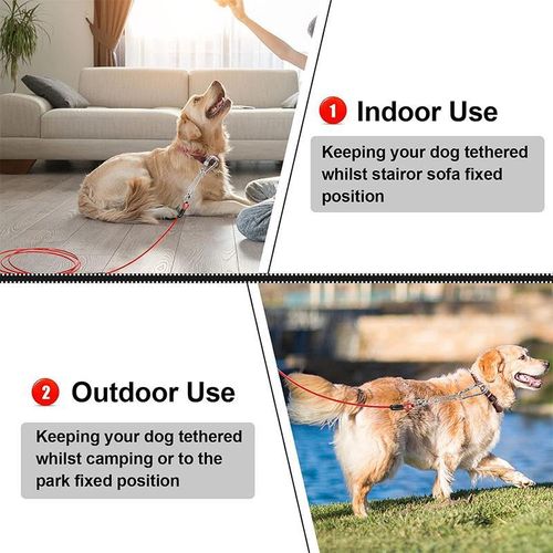 Dog Leash