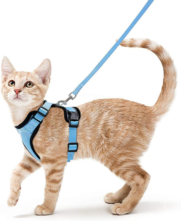 Cat Harness and Leash Set, Escape Proof Vest, Soft Breathable Mesh, Easy Adjustable Fit, Snap Buckles, Sturdy Clip,  for Small & Average Cats Walks