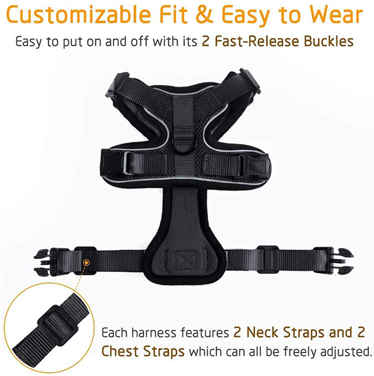 Cat Harness and Leash Set, Escape Proof Vest, Soft Breathable Mesh, Easy Adjustable Fit, Snap Buckles, Sturdy Clip,  for Small & Average Cats Walks