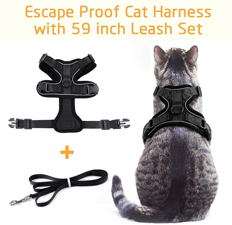 Cat Harness and Leash Set, Escape Proof Vest, Soft Breathable Mesh, Easy Adjustable Fit, Snap Buckles, Sturdy Clip,  for Small & Average Cats Walks