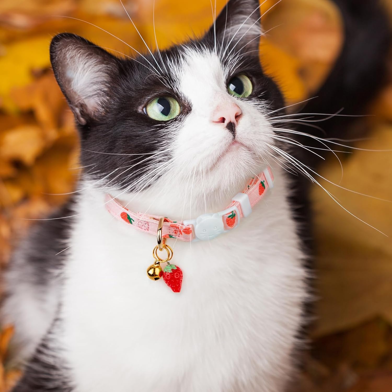2 Pack Cotton Cat Collar Pink Strawberrie White Heart Cute Kitten Collar | Breakaway Breathable Soft material With cute pendants with Bell