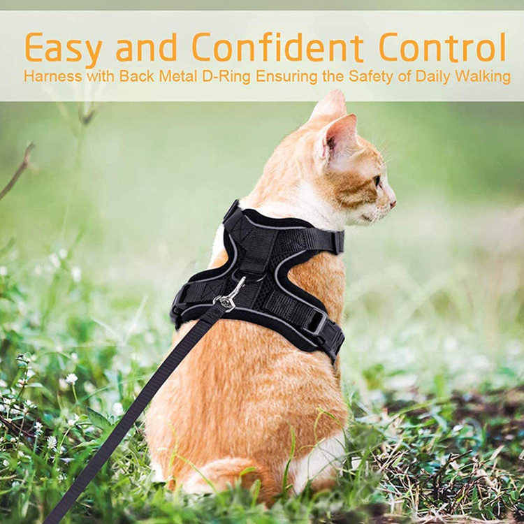 Cat Harness and Leash Set, Escape Proof Vest, Soft Breathable Mesh, Easy Adjustable Fit, Snap Buckles, Sturdy Clip,  for Small & Average Cats Walks