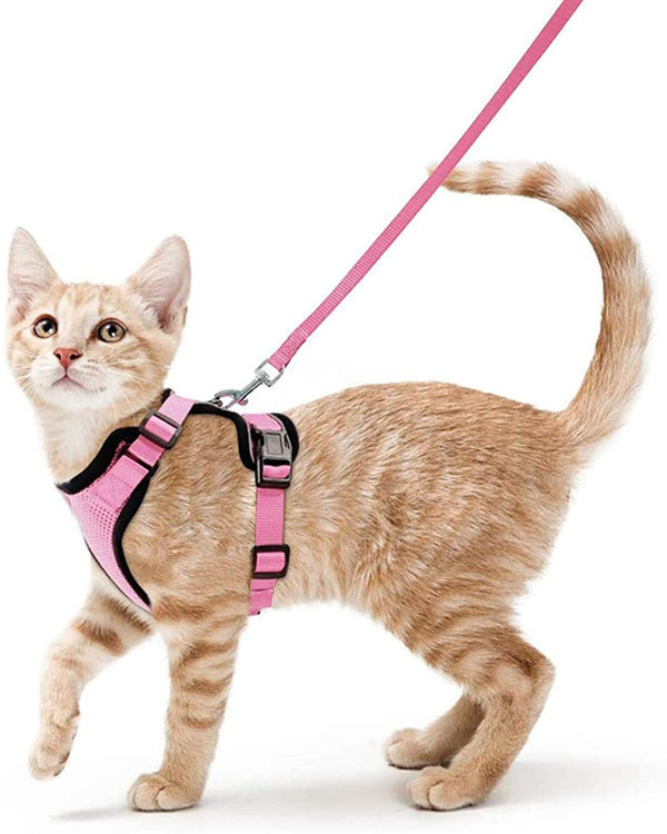 Cat Harness and Leash Set, Escape Proof Vest, Soft Breathable Mesh, Easy Adjustable Fit, Snap Buckles, Sturdy Clip,  for Small & Average Cats Walks
