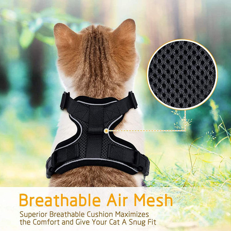 Cat Harness and Leash Set, Escape Proof Vest, Soft Breathable Mesh, Easy Adjustable Fit, Snap Buckles, Sturdy Clip,  for Small & Average Cats Walks