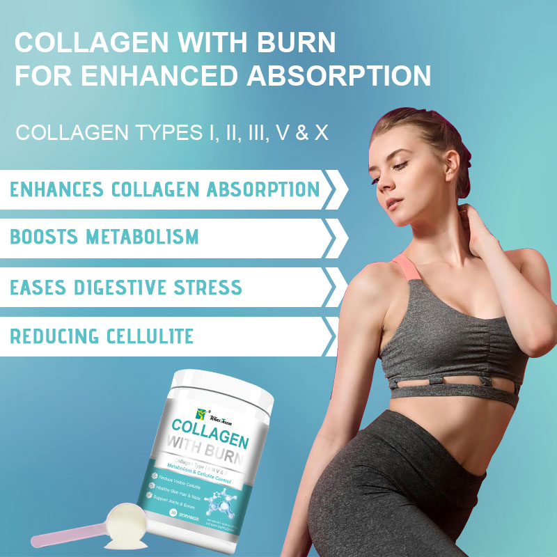 Collagen with Burn Multi Collagen Powder with Fat-Burning Support Types I, II, III, V, X + Hyaluronic Acid