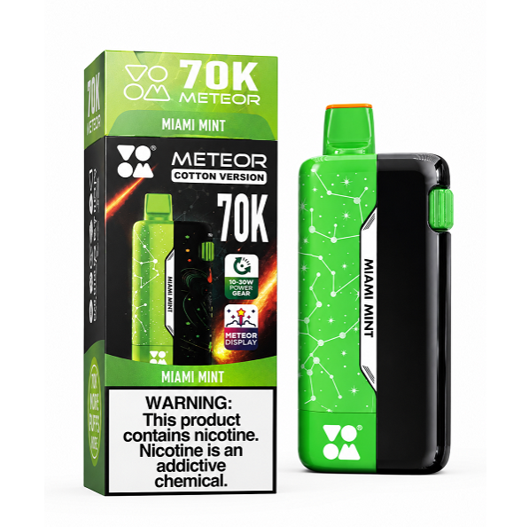 High-End 70,000 Puffs Vape | Massive 70K Puff Count | 10-30W Adjustable Wattage | Vibrant Meteor Screen | Mint