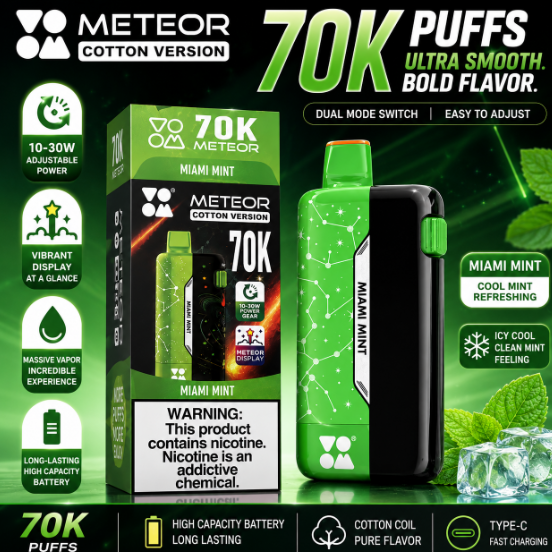 High-End 70,000 Puffs Vape | Massive 70K Puff Count | 10-30W Adjustable Wattage | Vibrant Meteor Screen | Mint