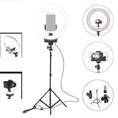 12 Inch Professional Big LED Ring Light 12W Dimmable Lighting with 3 Color Modes for Photo Shoot Video Shoot Live Stream Makeup Compatible with iPhone Android Phones and Cameras.Vlogging Kit+ Remote