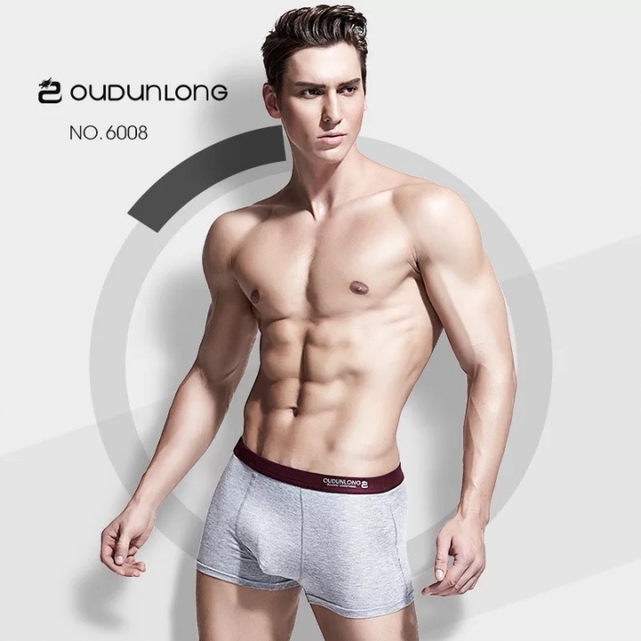 Pouch Men's Boxer Shorts 4pcs/lot Comfortable Men Underwear Sexy Solid Multi-Colors Male Boxer