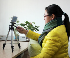 Portable Digital Camera Tripod Card Machine Bracket DV Tripod Cellphone Picture Frame