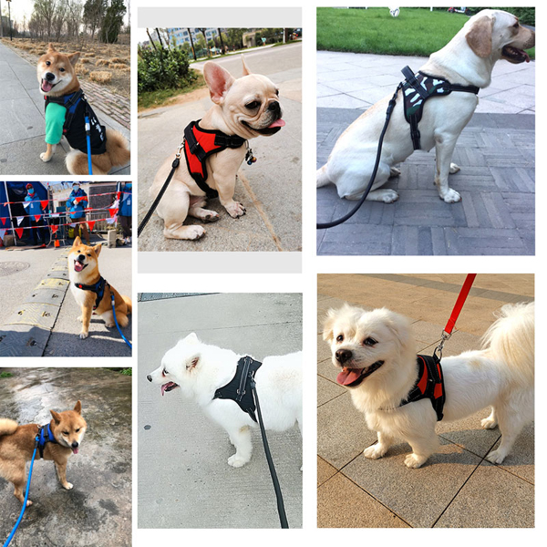New Outdoor Dog Soft Adjustable Harness Pet Harness Vest