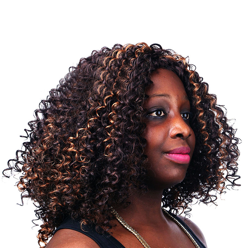 Natural Women's Black Small Roll Short Full Afro African American Wigs