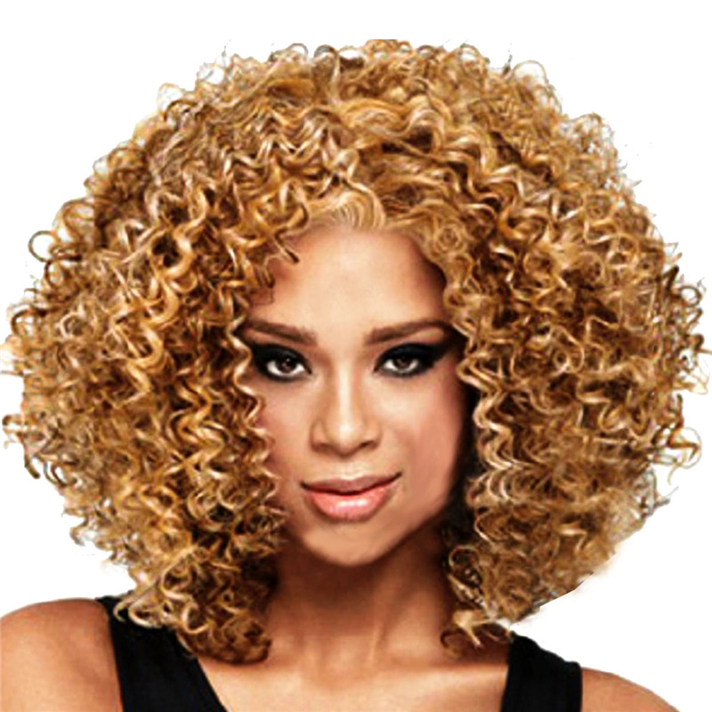 Natural Women's Black Small Roll Short Full Afro African American Wigs