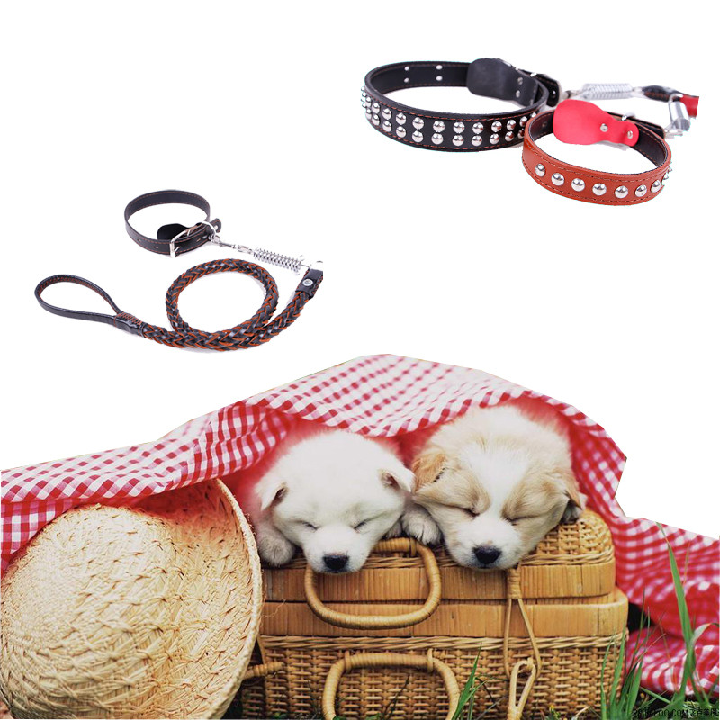 New Leather Large Dog Leashes Pet Traction Rope Collar belt Kit