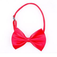 Gentleman Pet Bow Ties Cat/ Dog Tie Adjustable Cat Collar Tie Accessories