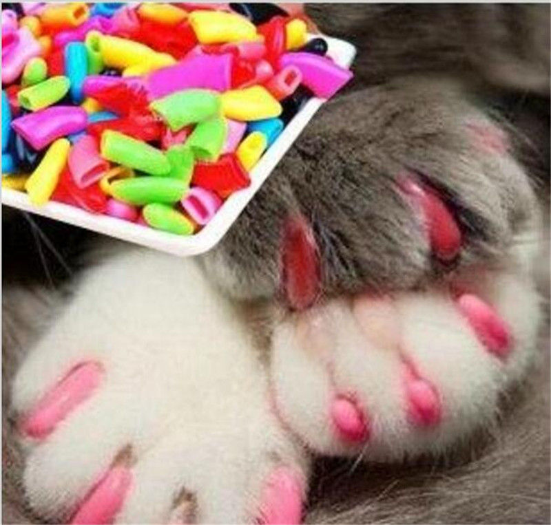 20 Pcs / Set Colorful Pet Nail Sets Catlike Sets Dog Cat Armor Products
